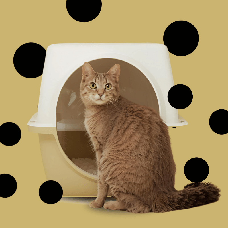 Cat Litter LEV | Silica gel Neutral, Lavender, Talc